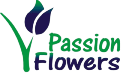 cropped 12316442 889936987768137 9094883107926042585 n 1 300x300 1